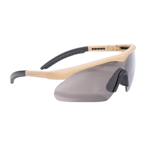 Swiss Eye Lunettes de protection Raptor